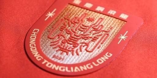华体会体育app下载-铜梁龙官方：宋攀等3人租借离队，萨达乌斯卡斯等4人解约离队