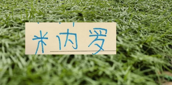华体会体育官方入口-11号米内罗又更新训练照片 去年他可是14场联赛斩获8个球申花米神